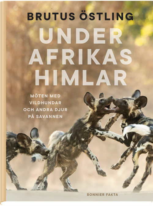 Årets Pandabok 2019 - Under Afrikas himlar