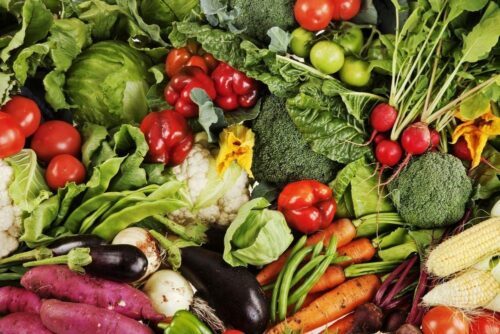 En samling grönsaker: tomater, paprika, broccoli, blomkål, morötter, rädisor, majs, aubergine, sallad, gröna bönor och rödbetor.