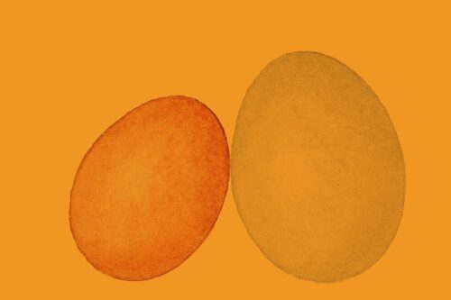 Köttguiden_puffbilder_ägg Köttguiden_puffbilder_ägg