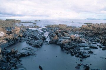 Olja på stenar i Spanien Olja på stenar i Spanien.