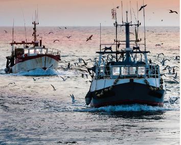 Två fiskebåtar på öppet hav, på väg mot betraktaren, omgivna av många måsar och synlig fiskeutrustning vid solnedgång.