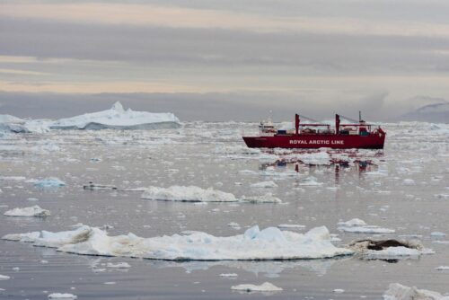 Rött lastfartyg märkt "ROYAL ARCTIC LINE" seglar bland drivande isflak och isberg i stilla arktiskt hav.