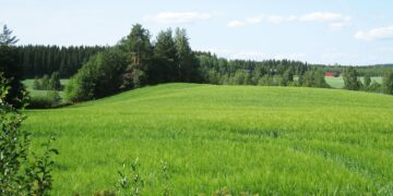 Odlingslandskap