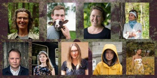 Årets miljöhjältar 2019_Twitter