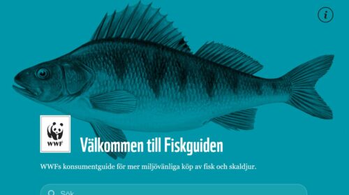 fiskguiden-2020-lg-1.jpg