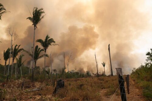 Eldsäsonger blir idag längre och extrema brandperioder är vanligare i Amazonas och andra drabbade områden.