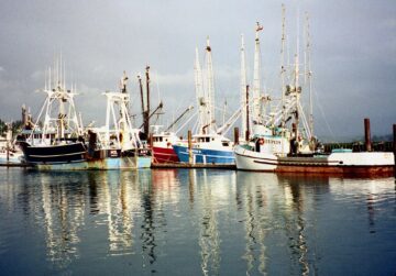 Fiskebåtar i en hamn.