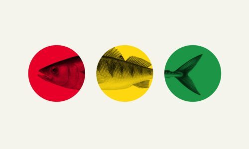 trafikljus-fiskguide.jpg