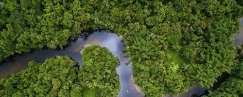 amazonas