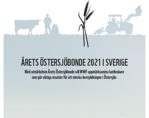 diplom-bild-2-arets-.png