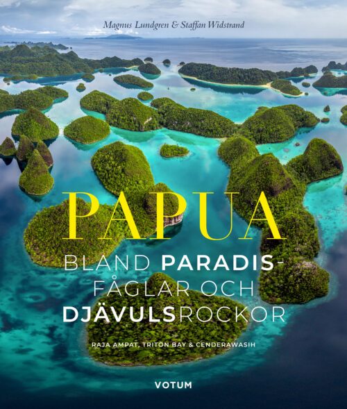 papua-a-rets-pandabo.jpg