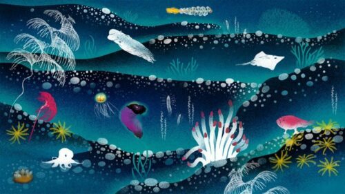 deep-seabed-scene-10.jpg