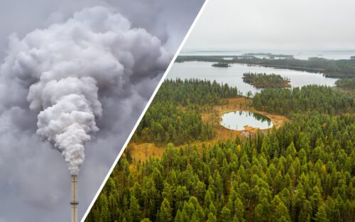 valgranskning-2022-c.jpg