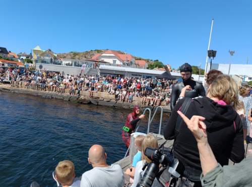 Dykare vid Havets hus på bryggan 2022