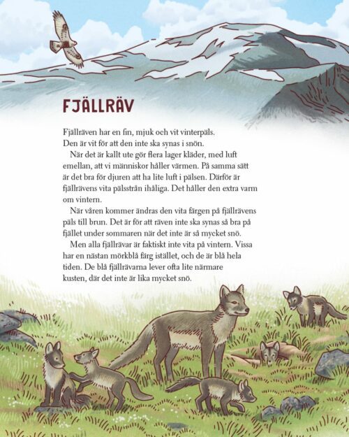 Inlaga – Djurens dräkter 2.jpg