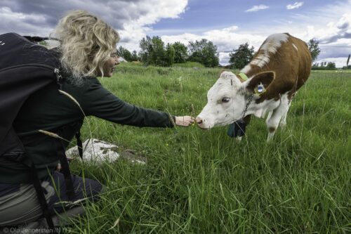 Jenny Jewert, WWF. Fotograf: Ola Jennersten