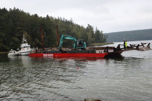 Bygge av stenrev i Södra viken