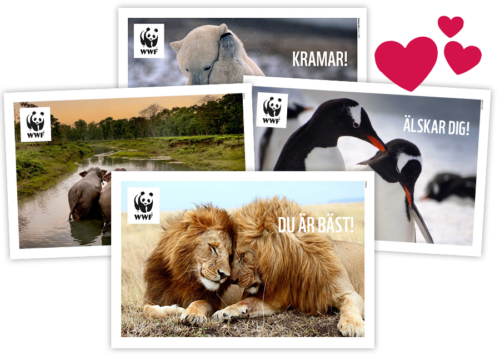 Alla-hjärtans-gåvokort-header-2024