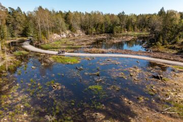 Våtmark i Stockholm. © Johan Hammar / WWF