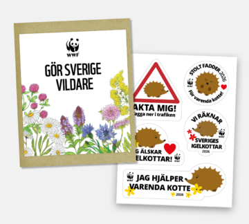 Fröpåse med ängsfröblandning och klistermärken med igelkottsmotiv