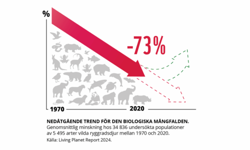 Grafik kurva med en stor röd pil som pekar neråt med -73% i text.