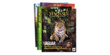 WWF Magasin 3-24 högar