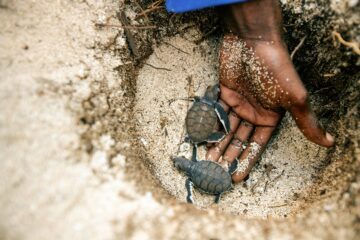 Documenting sustainable lifestyles and WWF projects in Tanzania,