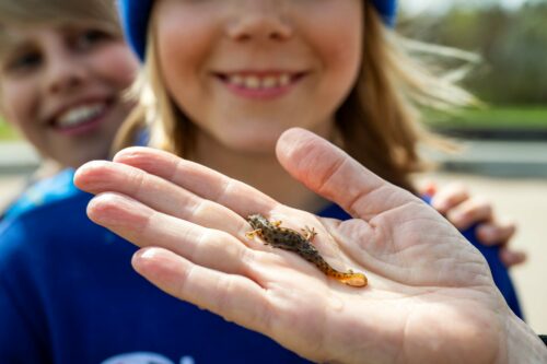 Elisabet Söderlund och fjärdeklassare från Olovslundsskolan i Bromma.
