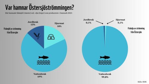rapport-strommingfisket-i-osterskon-4