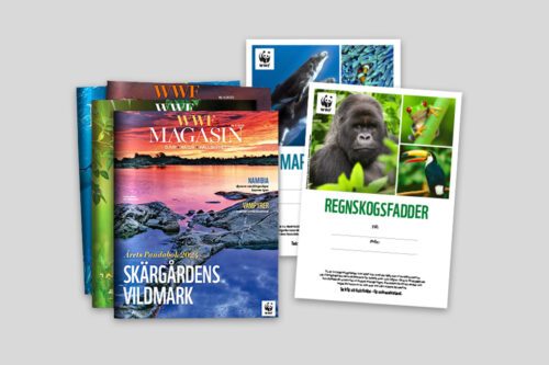 WWF Magazine och Fadderbevis