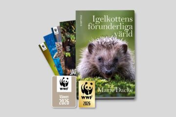 Märkesmedlem Paket med guldpin, vändekal bok och WWF Magazine