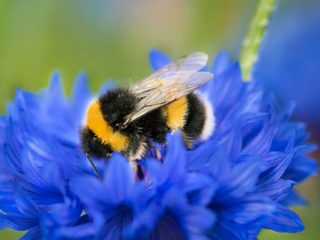 Nya utbildningar för dig som vill framtidssäkra ditt bolag ...
