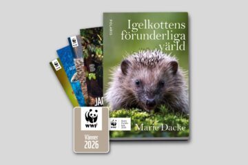 Årets Pandabok, WWF Magazine och WWF Vän dekal
