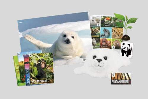 Pandaklubben