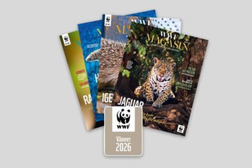 WWF Magazine och WWF Vän dekal