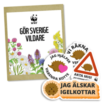 En ängsfröblandning och fyra klistermärken med tecknat stiliserat igelkottsmotiv och positiva textbudskap.