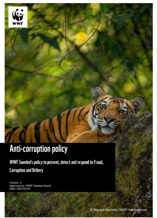 Antikorruptionspolicy 2025