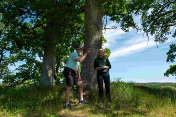 Två personer som står vid en ek i ett skogsbryn. Foto: Troy Enekvist