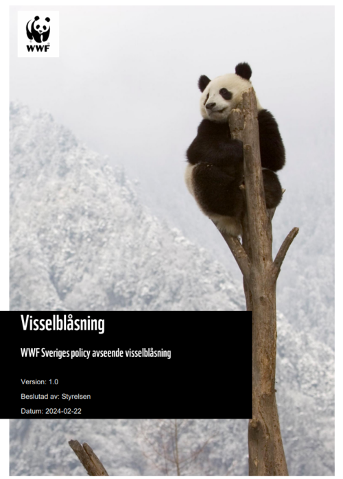 Visselblåsning 2025