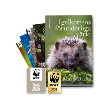 WWF_paket_Van_marke_2026
