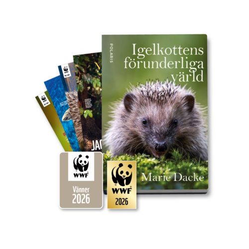 WWF_paket_Van_marke_2026