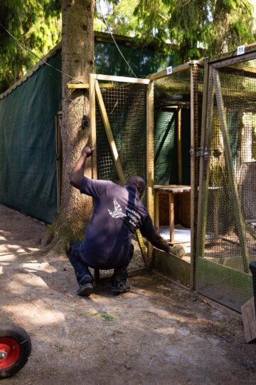 Person med ryggen mot kameran sitter på huk och tittar till en grågås i en voljär.