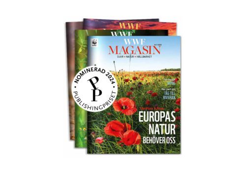 Nummer av WWF Magasin med Publishingprisets logga ovanpå