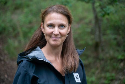 Moa Engström