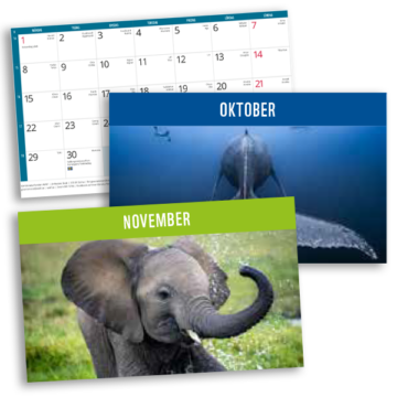 premie-formulär-kalender-2026