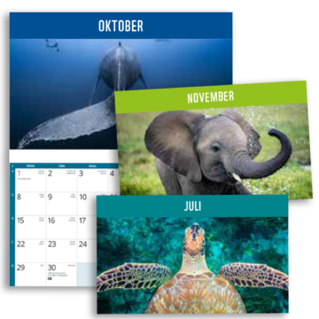 WWF kalender 2026