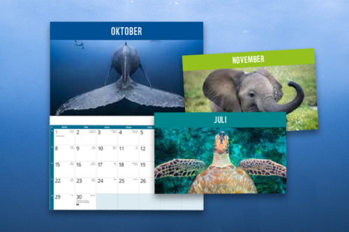 premie-marinfadder-kalender