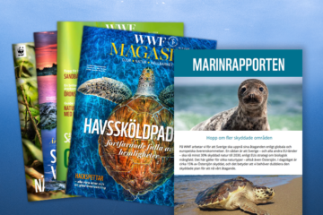 premie-marinfadder-magasin