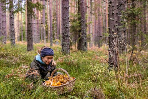 Svampplockare. Foto: Marcus Westerberg.