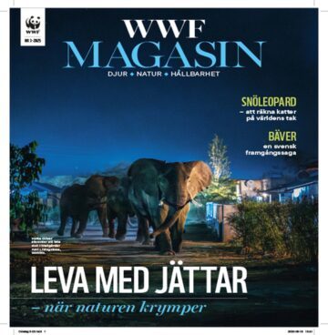 Omslagsbild WWF Magasin 3 2025